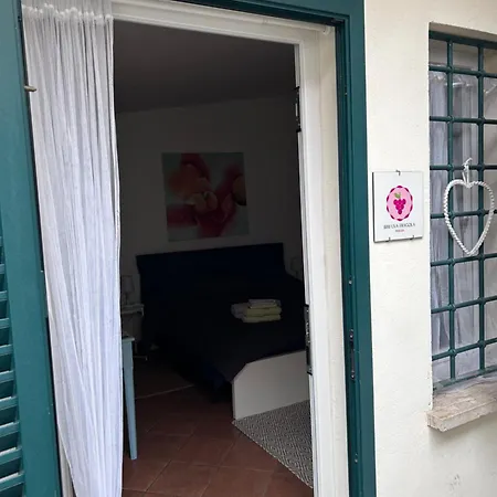 B&B Uva Fragola-3