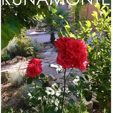 Runamonte Camere-3